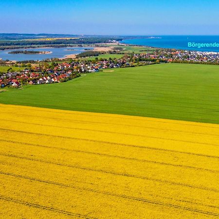 Villa Deichgraf 12 "Meerblick" Börgerende-Rethwisch エクステリア 写真