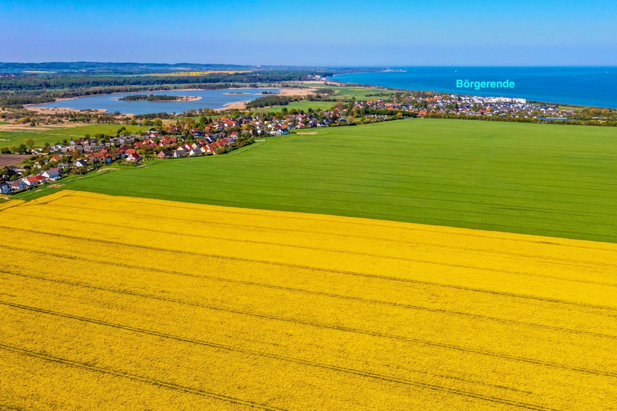 Villa Deichgraf 12 "Meerblick" Börgerende-Rethwisch エクステリア 写真